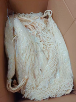 Fleurs et plantes préservées, couronnes de fleurs décoratives et plantes, décorations murales, décoration intérieure, art mural, décoration intérieure, fleurs séchées Y