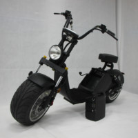 Motocicleta Eléctrica para Adultos, Scooter Eléctrico Citycoco de Bajo Consumo, Batería Nueva