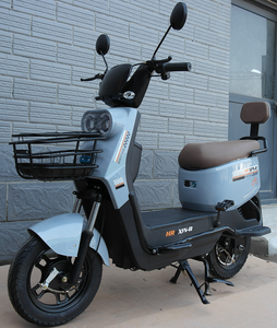 Bicicleta Eléctrica de 20 Pulgadas con Canasta, <span class=keywords><strong>500W</strong></span>, 48V12A, Batería Extraíble, Precio Directo de Fábrica, Bicicleta Eléctrica para Adultos - Product Image 3