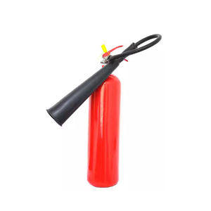 Attrezzatura antincendio della fabbrica della Cina 5kg Bsi ha approvato Co2 estinguente - Product Image 3