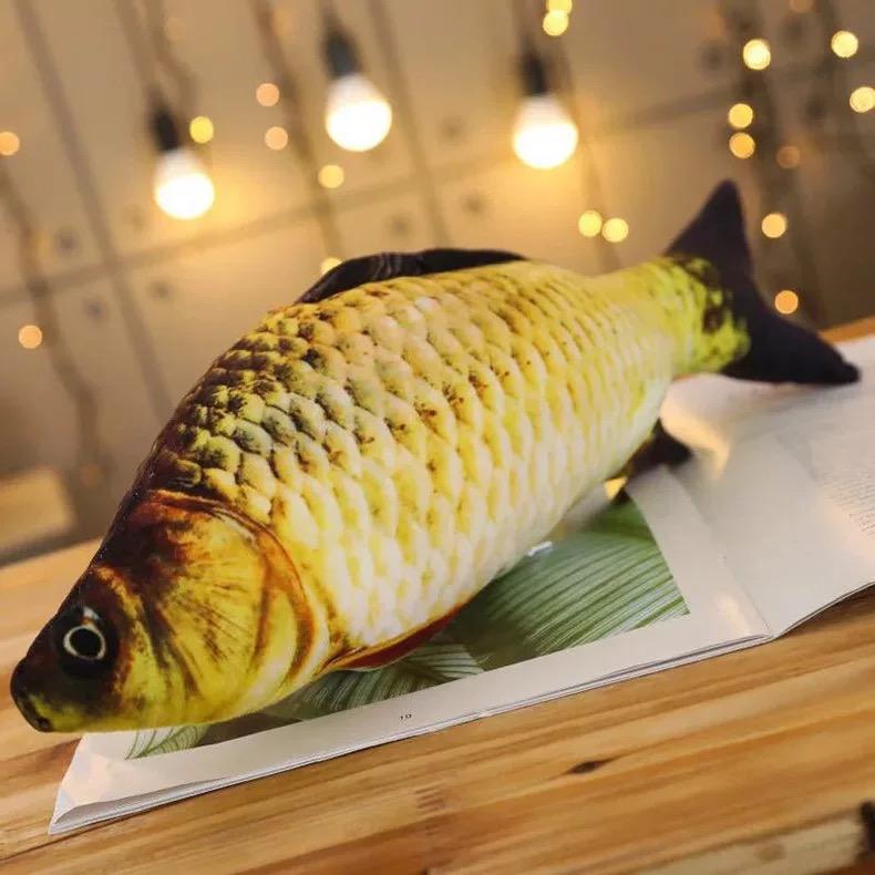 Crucian carp
