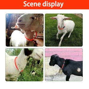 Design a forma di campana con colletto per bestiame regolabile con vari campanelli per attrezzature per la zootecnia di <span class=keywords><strong>mucche</strong></span> e pecore - Product Image 5