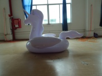 Waterhan 2026 Nouveau Design Dragon Volant Gonflable en Plastique Coloré en Forme d'Animal Cheval pour Piscine Extérieure Usage Résidentiel et Commercial
