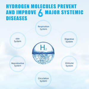 Tốt nhất bán Hydrogen Ionizer cốc nước Máy phát điện Chai chất lượng cao có thể sạc lại giá thép không gỉ cho hộ gia đình sử dụng xe hơi - Product Image 6