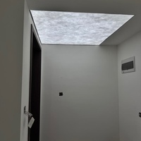 Nouveau design de panneau mural translucide givré en acrylique avec fil de soie