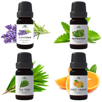 Set Hadiah Label Pribadi 100% Set Diffuser Aroma 12 Botol Minyak Esensial Alami untuk Spa, Pewangi Rumah, Relaksasi