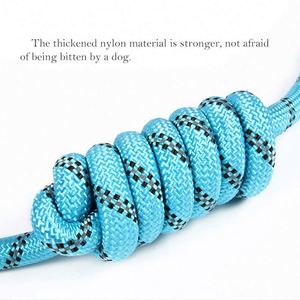 Laisse pour chien de luxe en sangle de nylon robuste personnalisée, en polyester, colorée, de créateur, avec corde réfléchissante pour animaux de compagnie - Product Image 2