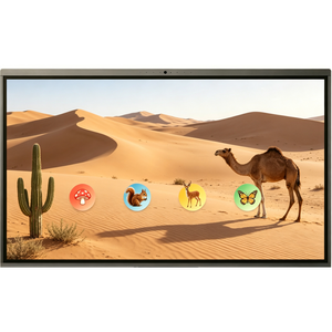 Pizarra Digital Inteligente 4K de 65 75 85 86 98 Pulgadas, Pizarra Interactiva con Pantalla Táctil Plana, Lápiz, para Enseñanza Escolar, OEM - Product Image 4