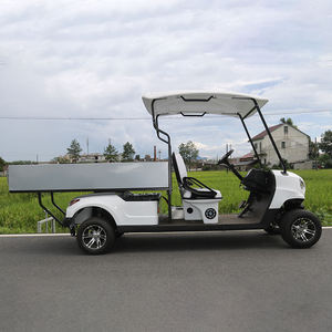Nuovo Stile di Golf Cart Elettrico, Scooter da Golf, Furgone Elettrico per Trasporto Merci, Golf Cart Motorizzati - Product Image 6