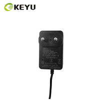 Adaptateur d'alimentation Inde 2 broches 12V 2A 2000MA 24W avec BIS CB ROHS
