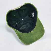 Casquette de baseball souple non structurée à 6 panneaux en velours avec logo personnalisé, broderie de luxe, vente en gros, pour toutes les saisons