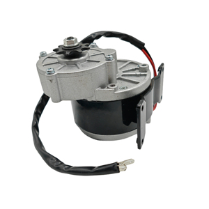 高トルクMY1016Z3DCブラシモーター電動スクーター24V350Wチェーンモーターdogcart用 - Product Image 4