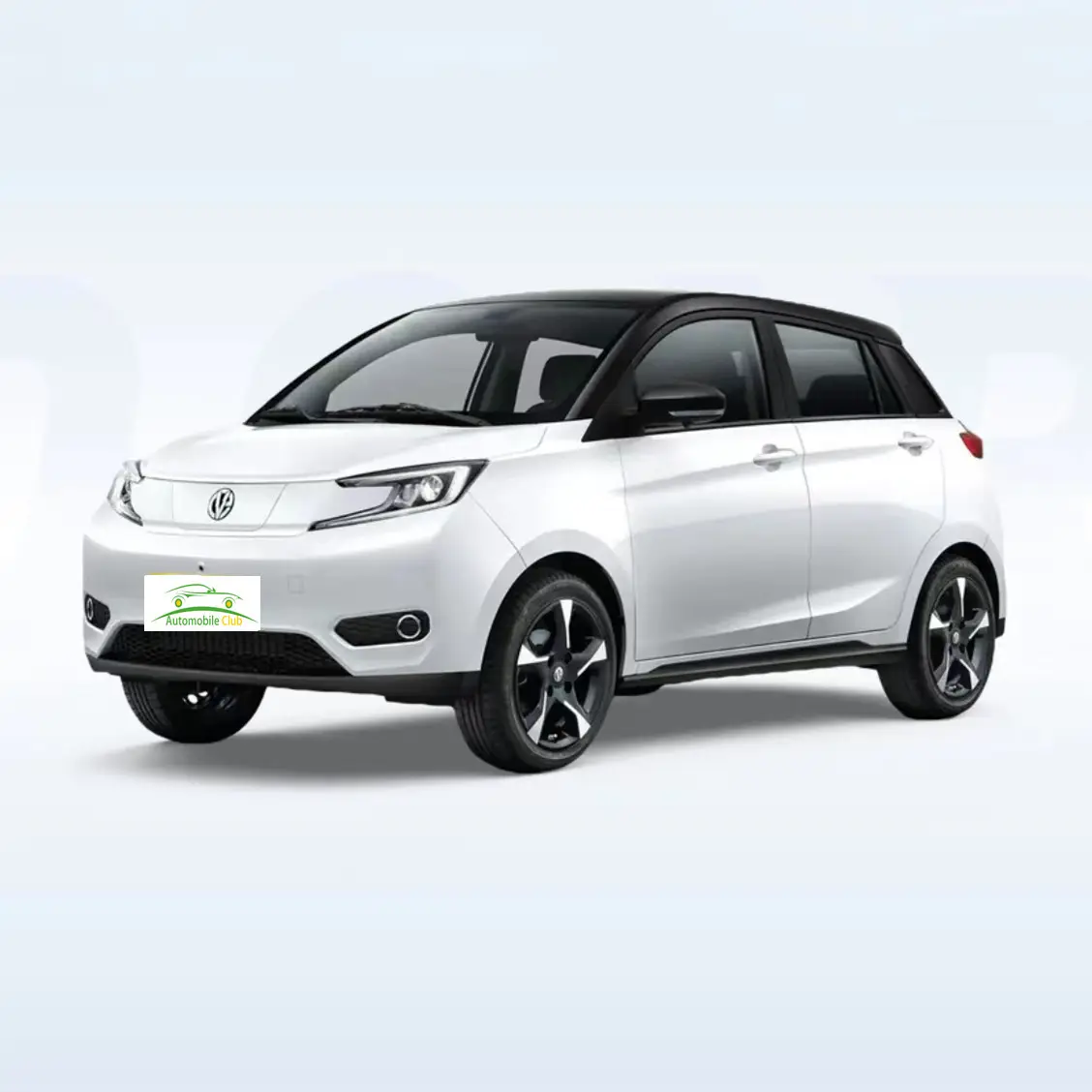 Cheap electric cars for adults YOUNG Guangxiaoxin new-energy electric vehicle 48hp 35kW motor long endurance 408km