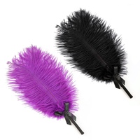 Baguette érotique en plumes d'autruche noire pour femmes, accessoires de préliminaires et de flirt pour couples, produits sexuels pour adultes Yusheng En stock