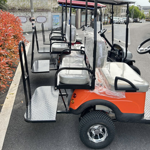 48V 모터 및 배터리로 관광 해변 휴가를위한 접이식 전기 미니 골프 카트 새로운 모델 - Product Image 6