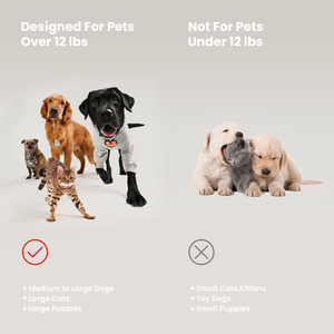 Cepillo de Dientes Desechable Suave para Mascotas, para Gatos y Perros, Limpieza Bucal en Casa con Cerdas de Silicona - Product Image 6