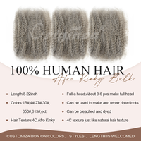 Extensions de Cheveux Humains Brésiliens Remy Gris Originea Afro Kinky en Vrac pour Tressage Crochet Réparation de Locs Torsadés - Importé du Brésil