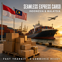 Solutions de chaîne d'approvisionnement à service stable Dongguan Singapour Malaisie Agent de dropshipping Vendeurs e-commerce Nasdaq Jayud 5th Frost