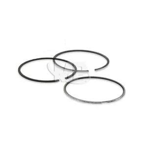 2w1709 12212002-00 9209000 STD Piston Ring Set phù hợp cho Sâu Bướm 3304 3306 động cơ