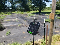 Électrificateur de clôture solaire 20 km 1 Joule pour l'encadrement et la protection du bétail, des chevaux, des bovins, des moutons, des animaux domestiques, installation facile