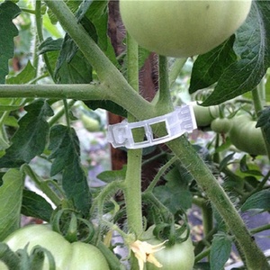 Clip per Pomodori in <span class=keywords><strong>Vendita</strong></span>, Anelli di Supporto per <span class=keywords><strong>Piante</strong></span> in Plastica Resistente - Product Image 3