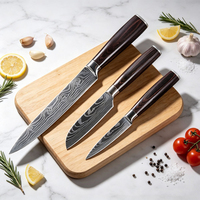 Couteaux de cuisine à motif Damas Tc, ensemble de couteaux professionnels pour chefs, manche en bois coloré, lame en acier inoxydable, couteau de chef