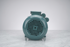 Moteur à induction monophasé 2HP 1,5KW 1500 tr/min entièrement fermé en fonte avec support au sol 208-230V 50Hz Efficacité IE2 Cadre 95mm - Product Image 3