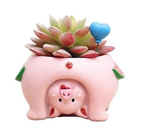 Pot <span class=keywords><strong>de</strong></span> fleurs en résine personnalisé en forme <span class=keywords><strong>de</strong></span> tête <span class=keywords><strong>de</strong></span> <span class=keywords><strong>femme</strong></span>, pot <span class=keywords><strong>de</strong></span> fleurs artistique et magnifique en forme <span class=keywords><strong>de</strong></span> <span class=keywords><strong>visage</strong></span> <span class=keywords><strong>de</strong></span> <span class=keywords><strong>femme</strong></span> avec trou <span class=keywords><strong>de</strong></span> drainage pour la décoration intérieure et extérieure - Product Image 6