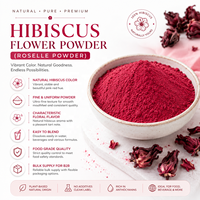 Poudre de fleur d'hibiscus Roselle LongBio 80 Mesh de qualité alimentaire en vrac, ingrédient Hibiscus Sabdariffa pour thé, boisson, smoothie, OEM, ODM