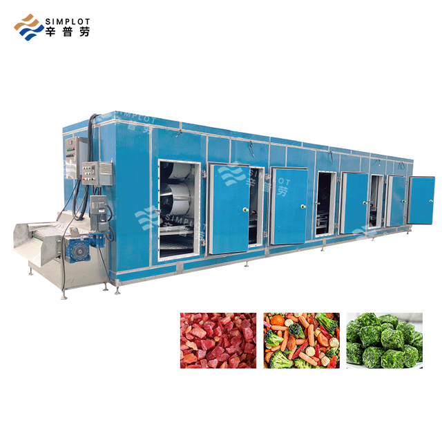 Refrigeration Equipment Blast Biological Freezing Dryer Fruits and Vegetables Vacuum Drying Line
