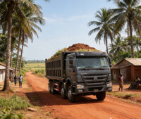 Подержанный самосвал Howo 8x4 Sinotruk: стабильная производительность, доступная цена для строительных проектов