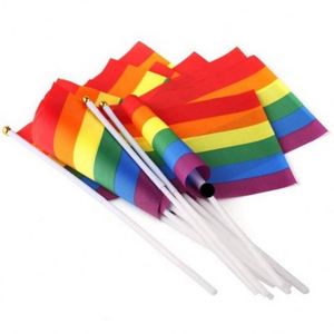 Banderas de Mano Personalizadas al por Mayor, 100% Poliéster, Arcoíris LGBTQ, Orgullo Gay y Lésbico - Product Image 4