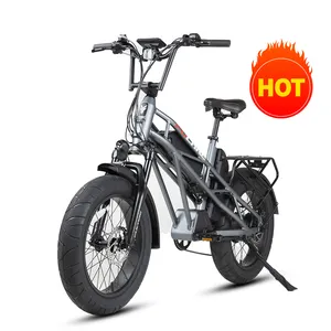 Adults 30MPH 20Inch 4.0" All-Terrain Fat Tire Electric Bicycles 48V Lithium Battery LCD Color Display 7 Speed EBike