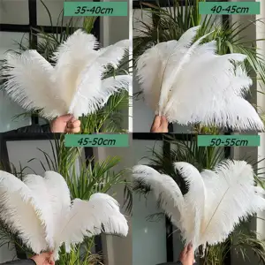 Plumes d'autruche de haute qualité, botte de roseaux, fleurs décoratives pour mariage, fleurs séchées, colorées naturelles, bon marché,