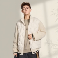 Veste en duvet pour homme personnalisée, chaude pour l'hiver, légère, écologique, respirante, col montant