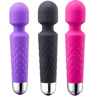 Vibromasseur chauffant portatif sans fil, rechargeable par USB, 20 fréquences, vibromasseur pour la masturbation de femme, violet