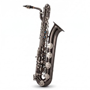 Saxophone baryton en nickel noir avec clés nickelées et étui - Product Image 1