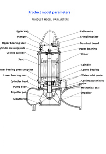 Bán buôn qdx chìm nước thải bơm vít mặt bích Giao diện 1 inch đường kính gang vật liệu cho đất nông nghiệp thủy lợi - Product Image 5