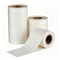 NMN Flexibles Isolierpapier für Elektromotorwicklung und Schlitzisolierung Polyesterfolie Aramidpapier NMN Verbundmaterial