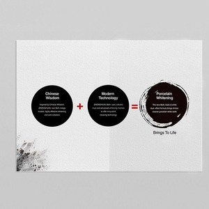 Custom Disposable Eco-Friendly Promotional Folded Flyer Instruction Manual Full Color Print Matte/Glossy Lamination Foil - Product Image 6
