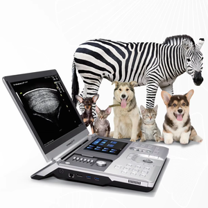 <span class=keywords><strong>VINNO</strong></span> 6 Vet, Máquina de Ultrasonido Veterinaria Portátil con Doppler a Color, Construcción Metálica, Certificación CE Clase II para Uso Animal - Product Image 1