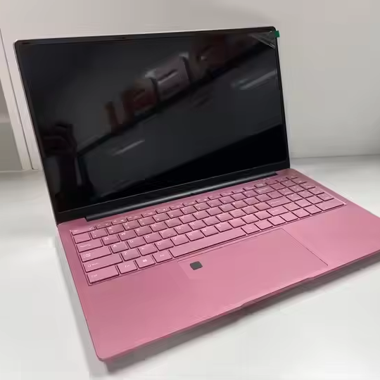 15.6 Inch 1920*1080 Intel N95 Computer 2.66GHz 4 Core 4 Thread Windows 11 Business Pink Laptop