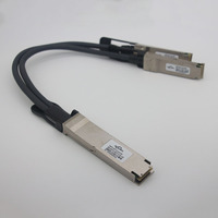 Direct Attach Copper/Fiber Optic 400G OSFP to 2QSFP112 Cable 0.5M Passive DAC for Data Center & FTTH