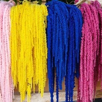 Bunga Amaranth Awet, Bunga Abadi Air Mata Kekasih, Paket 5 Buah, Grosir, Dekorasi Pernikahan, Amaranthus Gantung