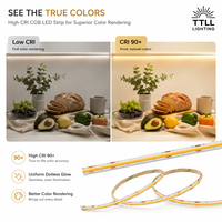 Lampu Strip LED COB CCT 24V CRI95 608LEDs/m 10mm Tunable White FCOB Tape 100m Gulungan Grosir untuk Proyek Hotel CE SASO