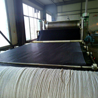 Ligne de production de plaques de drainage alvéolées en HDPE/PE pour le drainage des décharges, la végétalisation des toits et des sous-sols