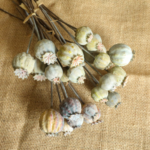 A-1461 Trang Chủ Trang Trí Đám Cưới Giả Khô Bọt Hoa Dài Thân Cây Nhân Tạo Bọt Thuốc Lá Hoa Quả - Product Image 6