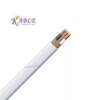 Câble électrique de construction en cuivre isolé PVC toronné NM-B 10/2 12/2 14/2 pour les États-Unis/Canada, tension nominale 600V