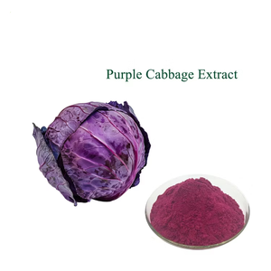 Pasokan pabrik bubuk jus kubis ungu bubuk ekstrak kubis ungu bubuk kubis kering beku - Product Image 2
