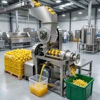Industriële commerciële automatische citroenpersmachine van roestvrij staal, citrus- en sinaasappelsapcentrifuge, hoge efficiëntie, 5 jaar garantie